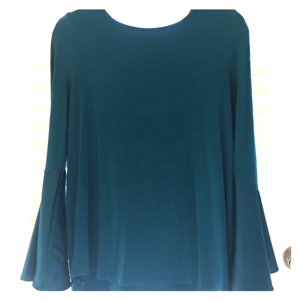 Teal long sleeve shirt with silk bell sleeves.